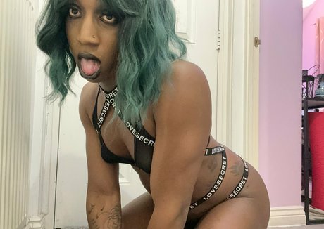 Jaydefox2