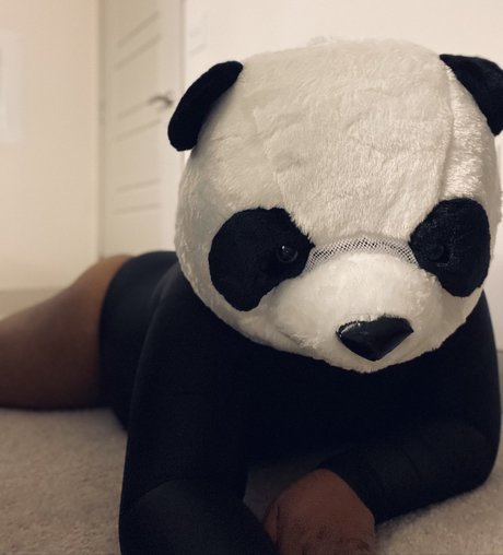 Naken läckt OnlyFans-bild av Playbear