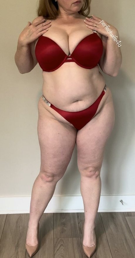 The Perfect Wife OnlyFans
