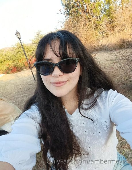 Ambermeyers