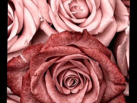 Naken läckt OnlyFans-bild av Missy