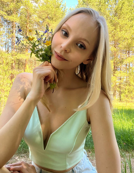 Nmvip