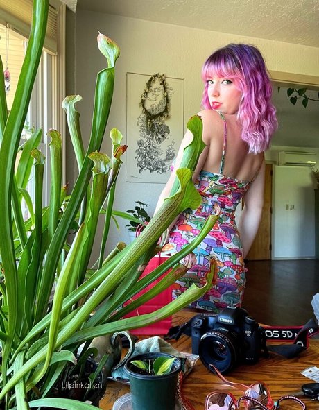 Lilpinkalien