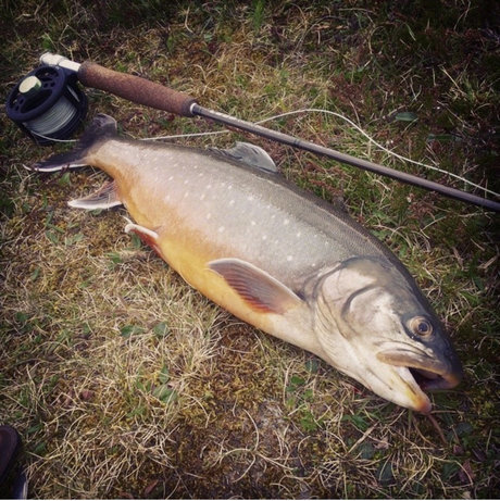 Naken lekkede OnlyFans-bilde av Onlyfish