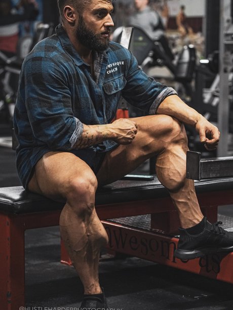 King Calves