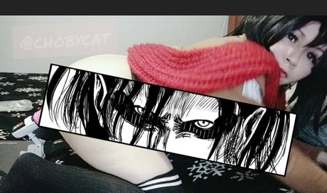 Chobycat
