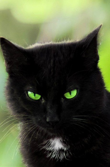Nahá fotka uniklých OnlyFans od Summer Cat