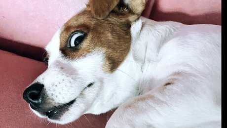 Nahá fotka uniklých OnlyFans od Winyl