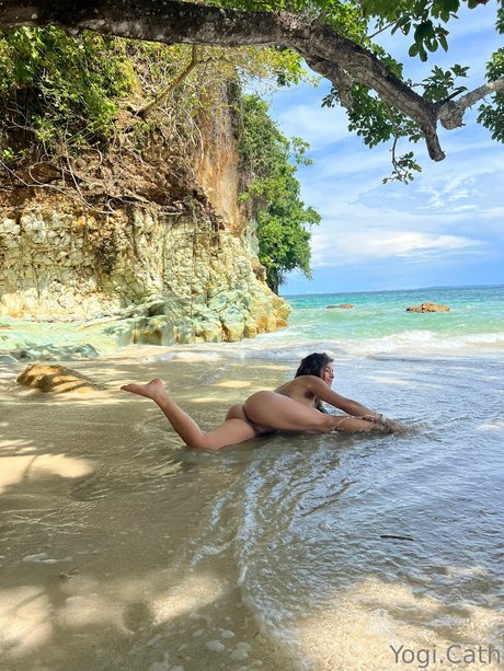 Yogi.cath