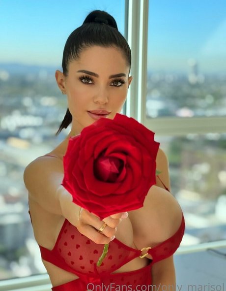 Marisol Yotta