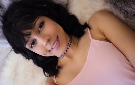 Cybersofty