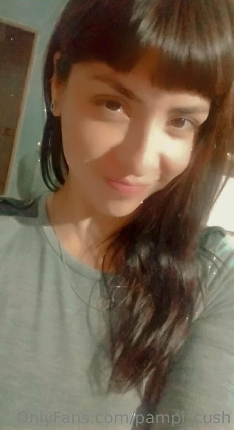 Pampi_cush