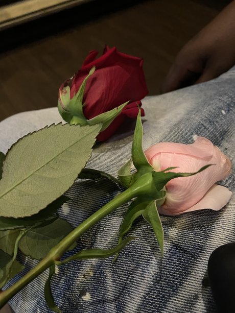 Naken lekkede OnlyFans-bilde av Blueyedcrush