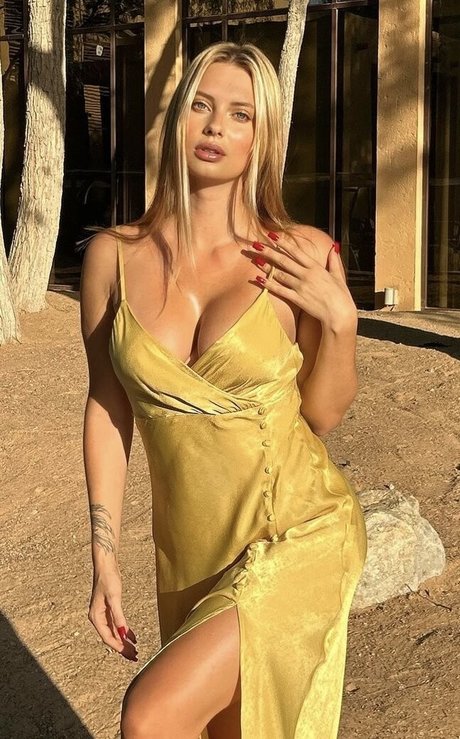 Darivo Darivo