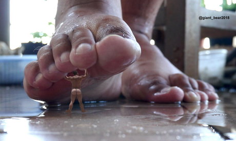 Wildboargiant