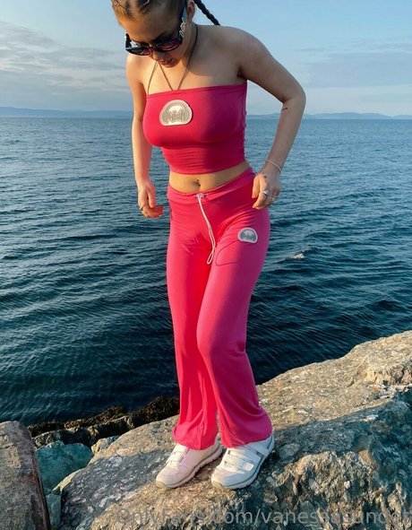 Vanessasundet