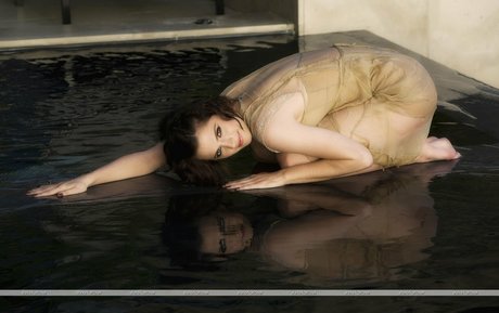 Stana Katic
