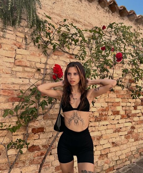 Gabbygonxo