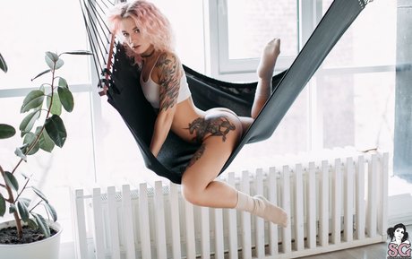 Pollypolly