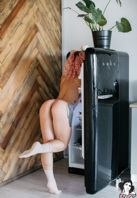 Pollypolly