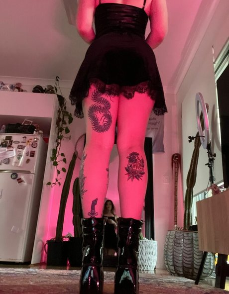 Analwonderland
