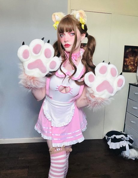 Thecutestkittycat