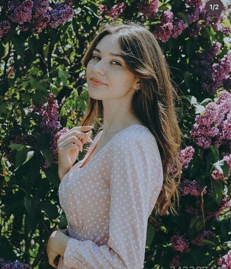 Jessyshine