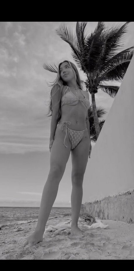Stephylicea
