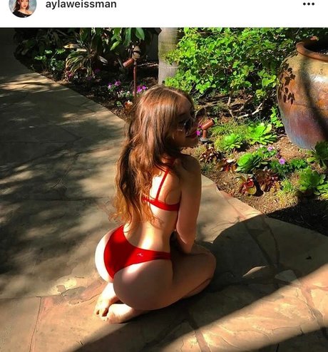 Ayla Dlyla