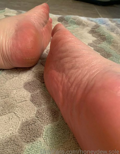 Honeydewsole