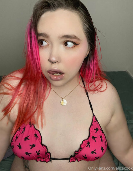 Alicecook