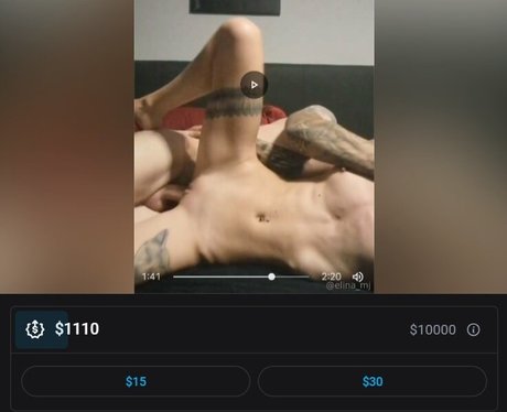 Elinamj  nude leaked OnlyFans photo