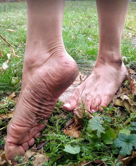 Scentofasilkytoe