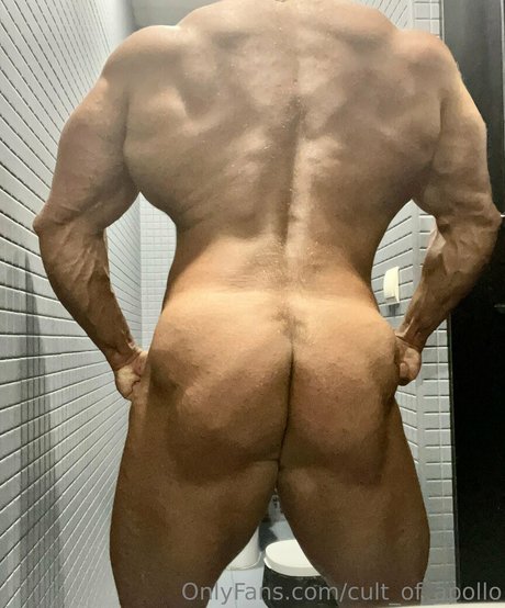 Cultofapollo