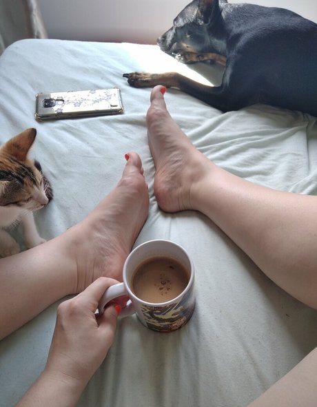 Pamfeet