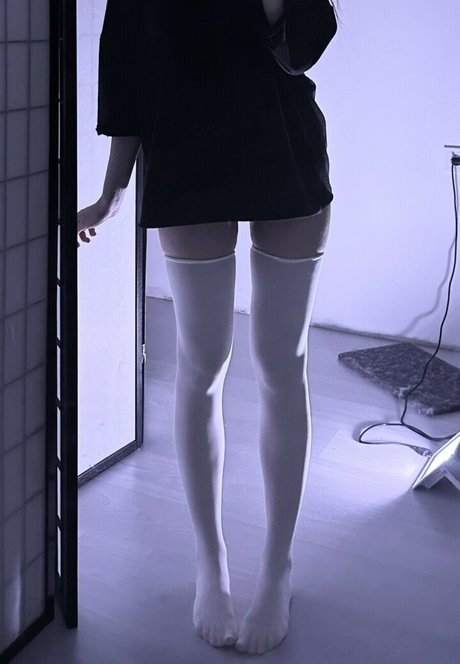 Morphilina