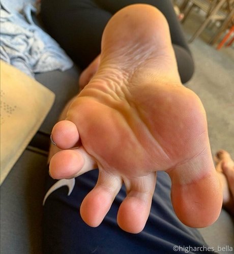 Higharchesbella