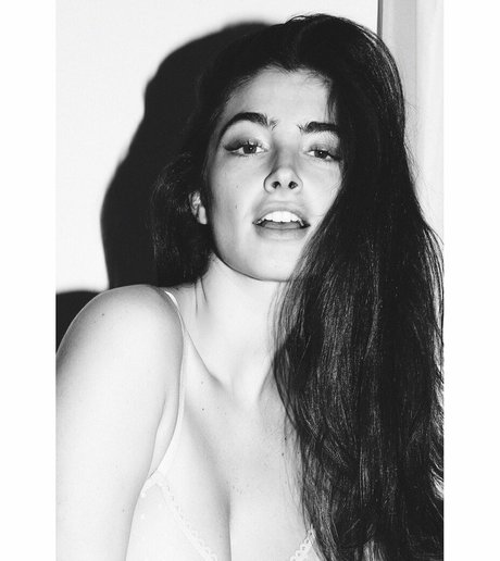Lee Rokach