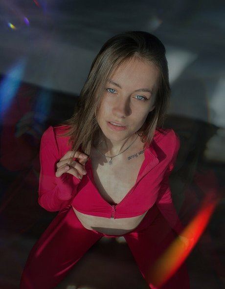 Dollynextdoor