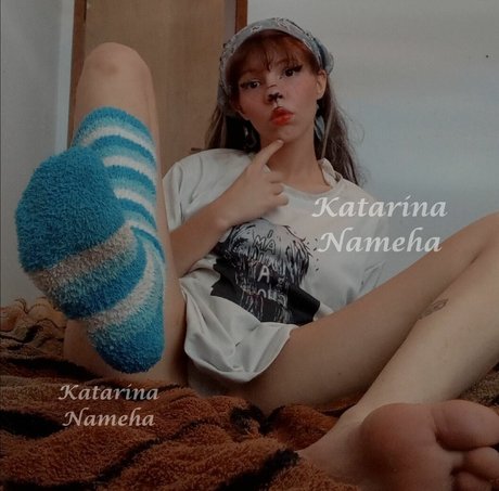 Katarinameha