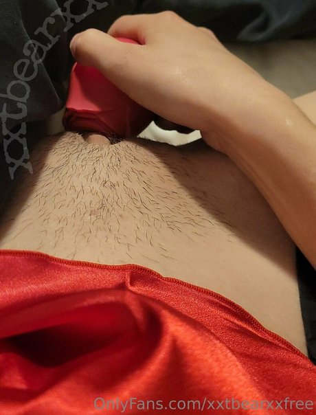 Xxtbearxxfree