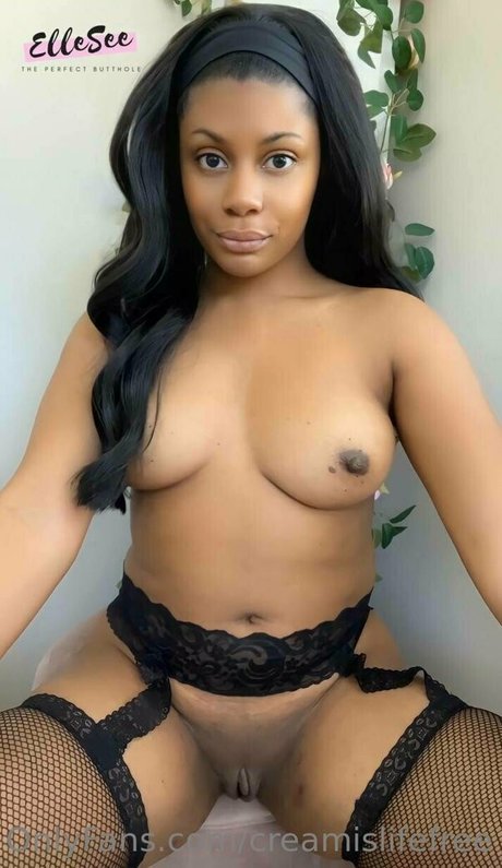 Creamislifefree  nude leaked OnlyFans photo