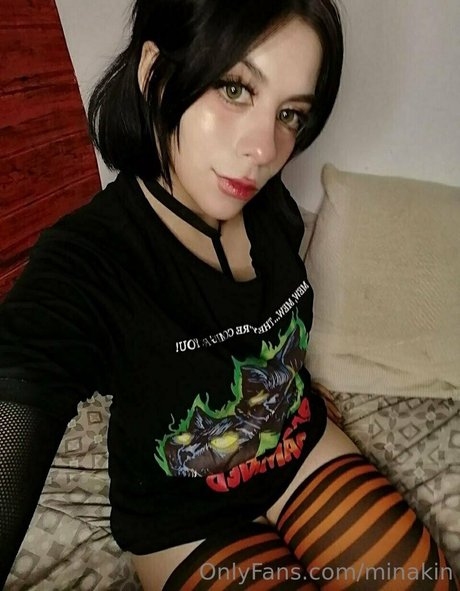 Minakin