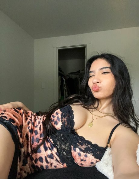 Chiquitafairy