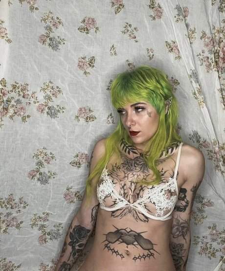 Avalon Valore