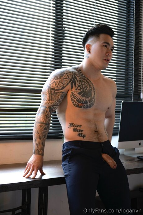Loganvn