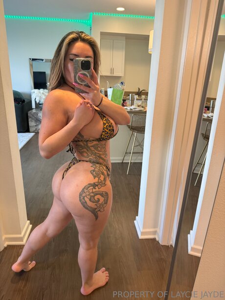 Laycieslit