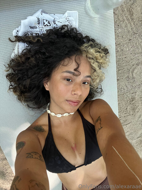 Alexandrarae