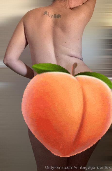 Vintagegardenfox