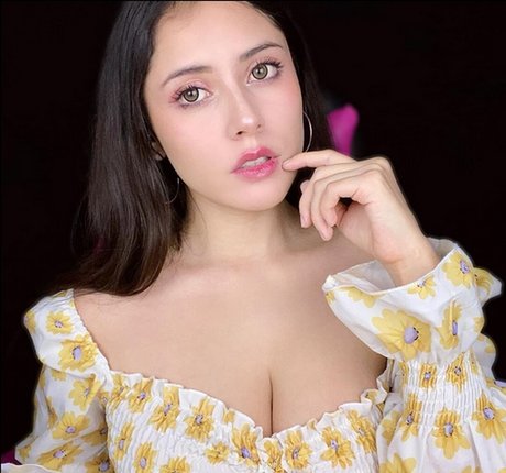 Vivi Alto